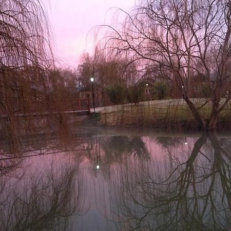 מלון מואמה Perricoota Vines Retreat מראה חיצוני תמונה