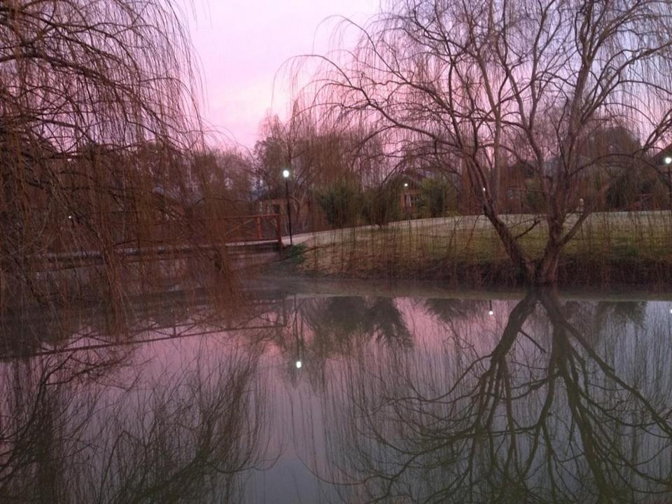 מלון מואמה Perricoota Vines Retreat מראה חיצוני תמונה